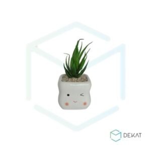 Vaso de Cerâmica + Suculenta - Branco